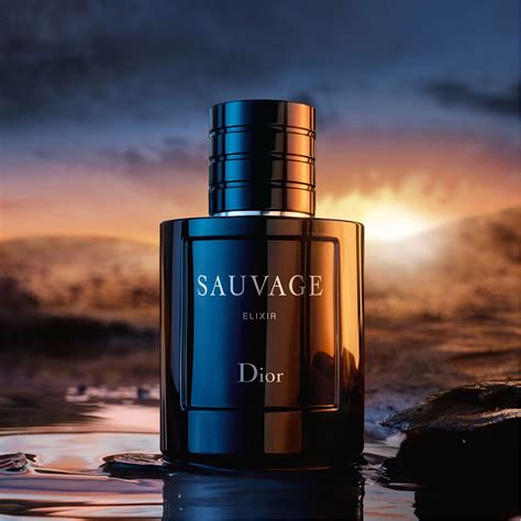 sauvage dior jcpenney|dior sauvage elixir fragrantica.